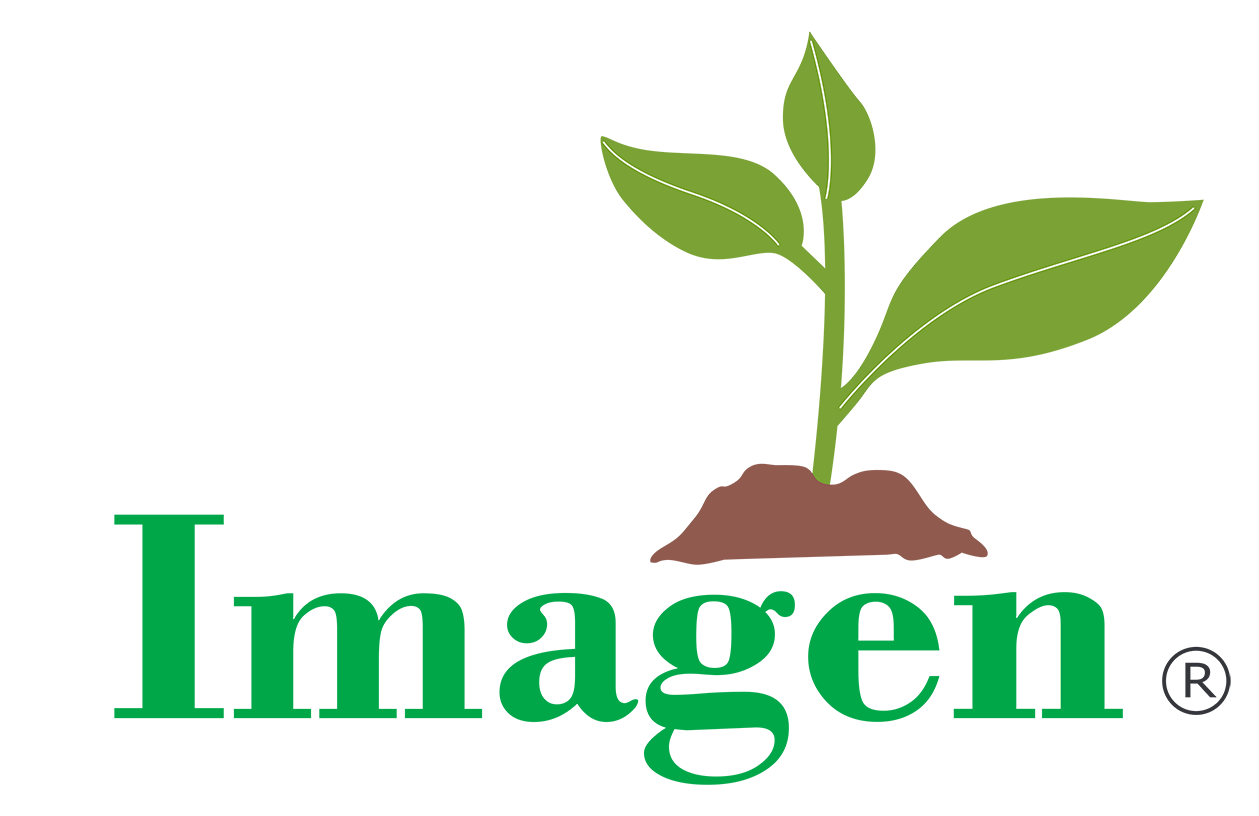 Agroimagen